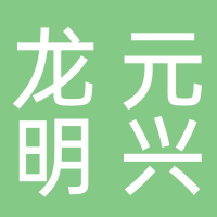 上海龙元明兴企业发展有限公司