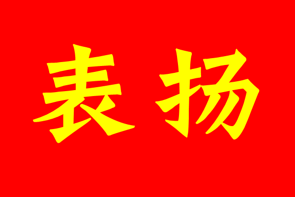 名单公布！丽水市委、市政府发文表扬突出贡献集体和个人