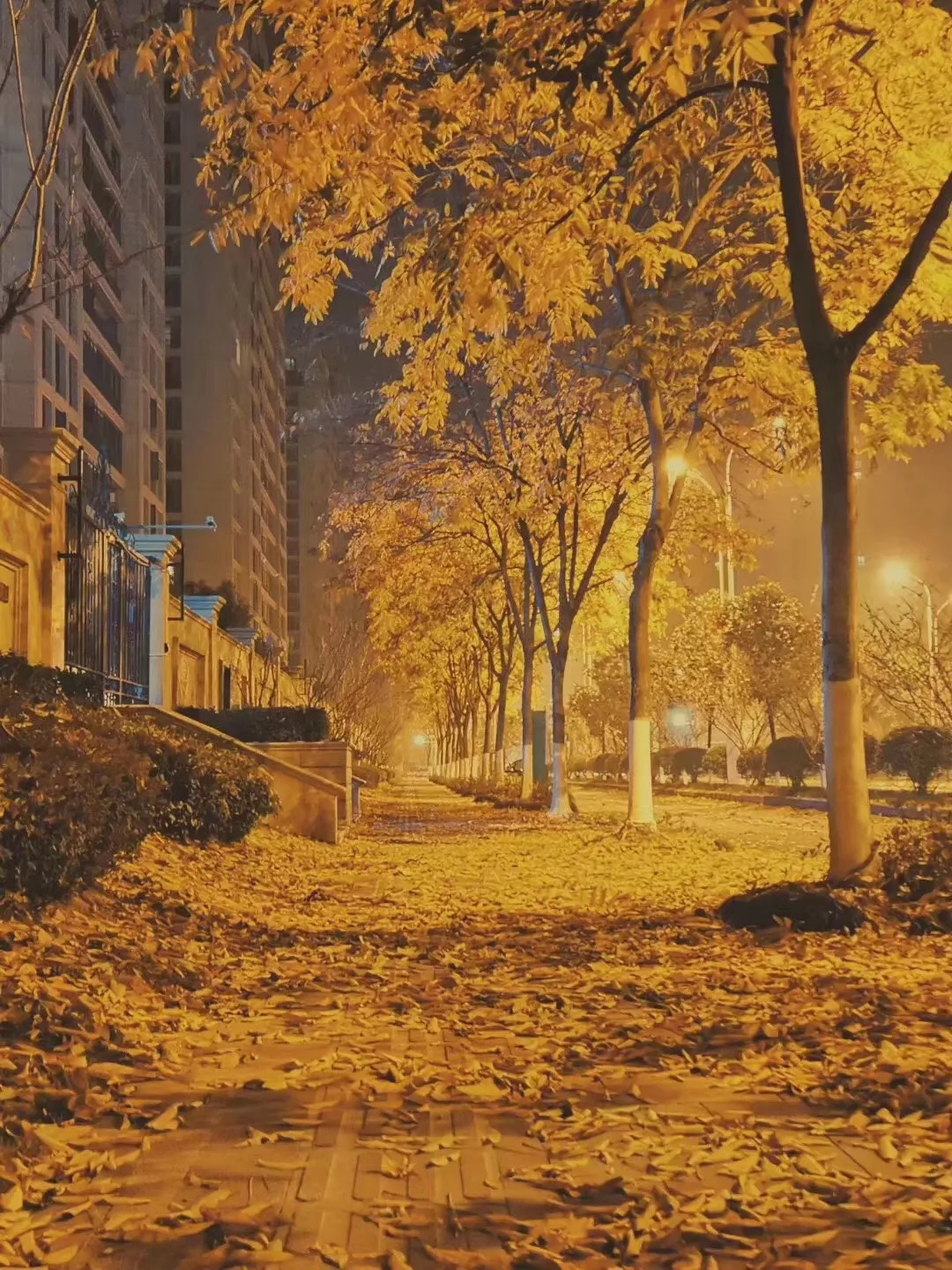 你好哇，丽水的秋天