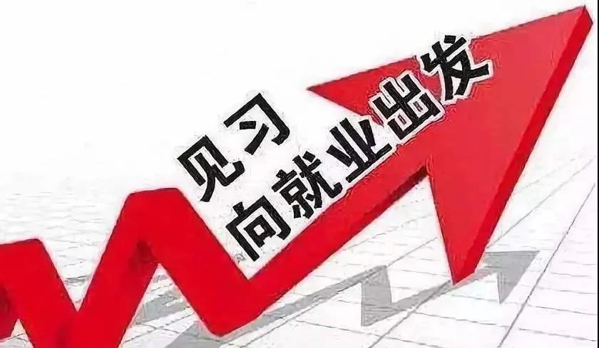 招用见习生有钱领？丽水市本级就业见习基地申请认定等你来！