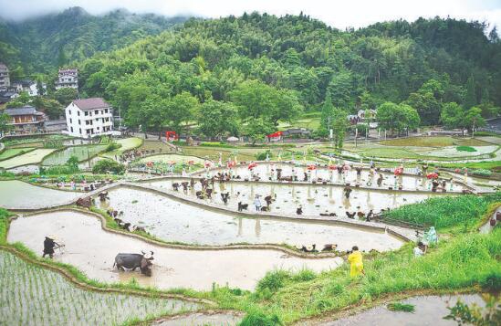 1591581873996091.jpg 5.jpg