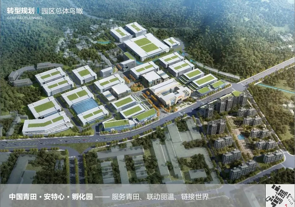 1601261630426018.jpg 54.webp.jpg