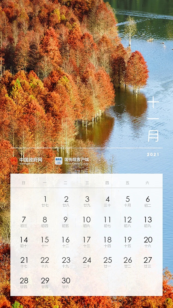 1606355488260913.jpg 640.webp-(10).jpg