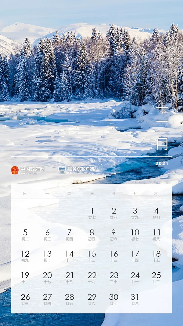 1606355495169892.jpg 640.webp-(11).jpg