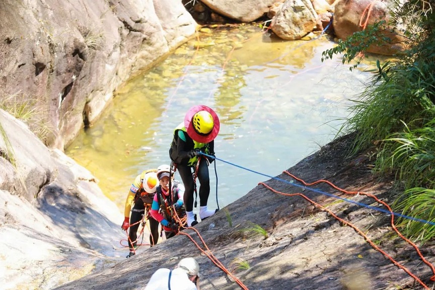 1663660256812686.jpg 1.jpg