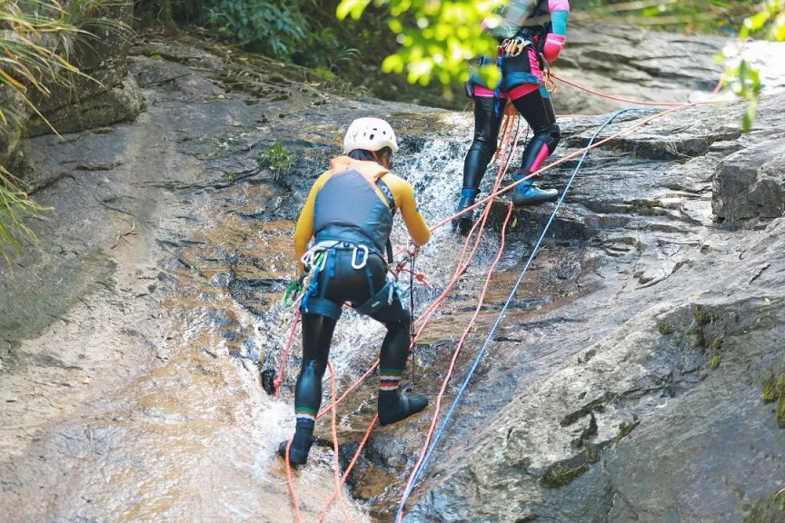 1663660278405434.jpg 2.jpg