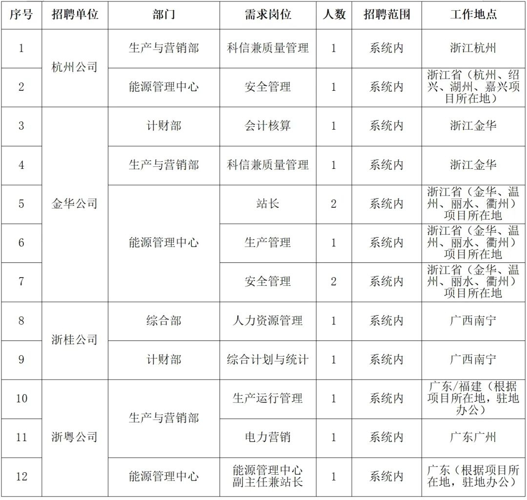 国家电投集团浙江公司招聘公告